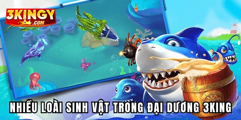 Nhiều loài sinh vật sống động trong thế giới đại dương 3king